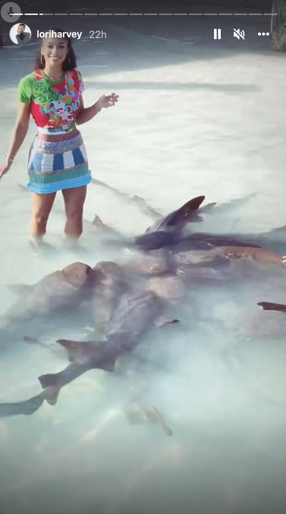 Lori Harvey Went Swimming With Sharks in a Dior T-Shirt