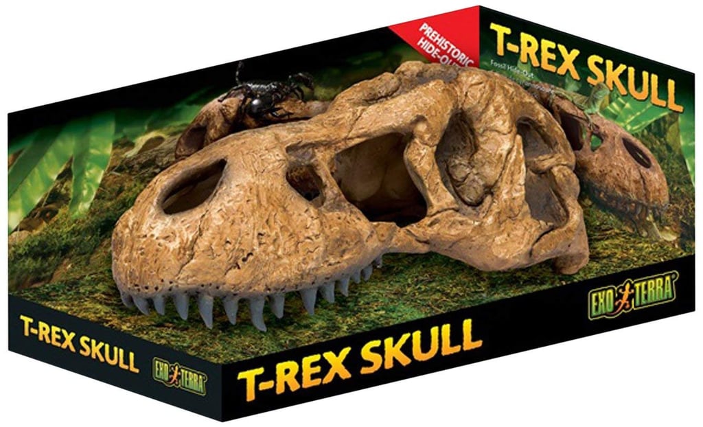 Exo Terra T Rex Skull