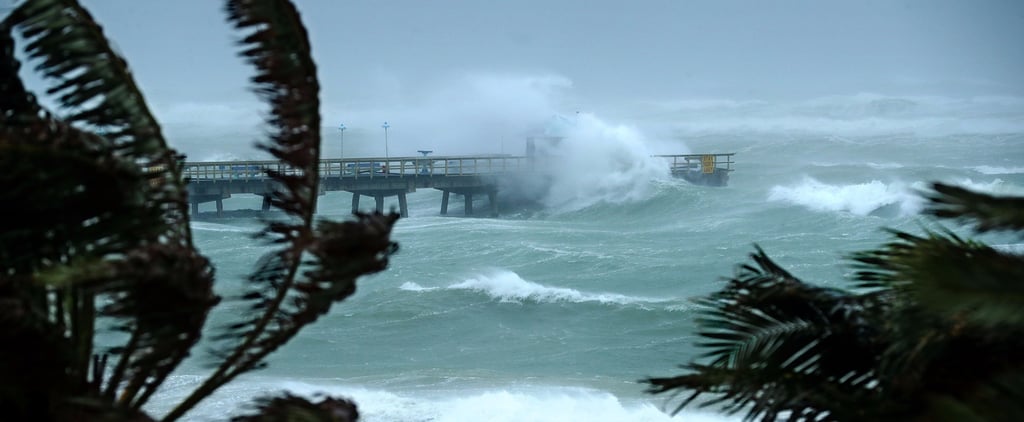 Hurricane Irma Photos and Video From Florida