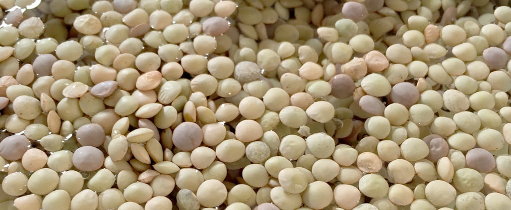 Lentils in Marcella Hazan's Ingredienti Cookbook