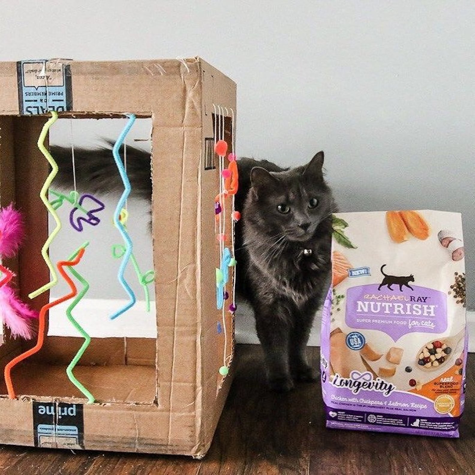 Fun and Easy DIY Cat Toys to Keep Cats Busy POPSUGAR Pets