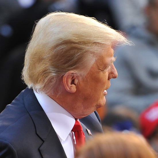 Is Donald Trump's Hair Real?