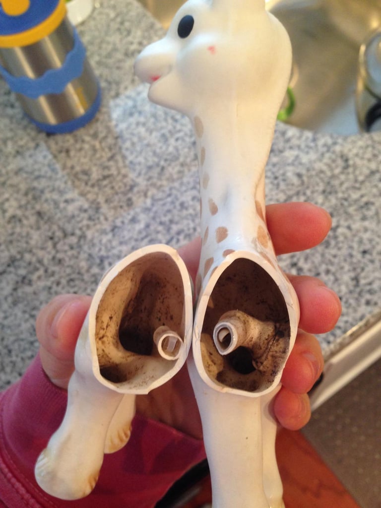 Parents Finding Mold In Sophie the Giraffe Teething Toy POPSUGAR Family