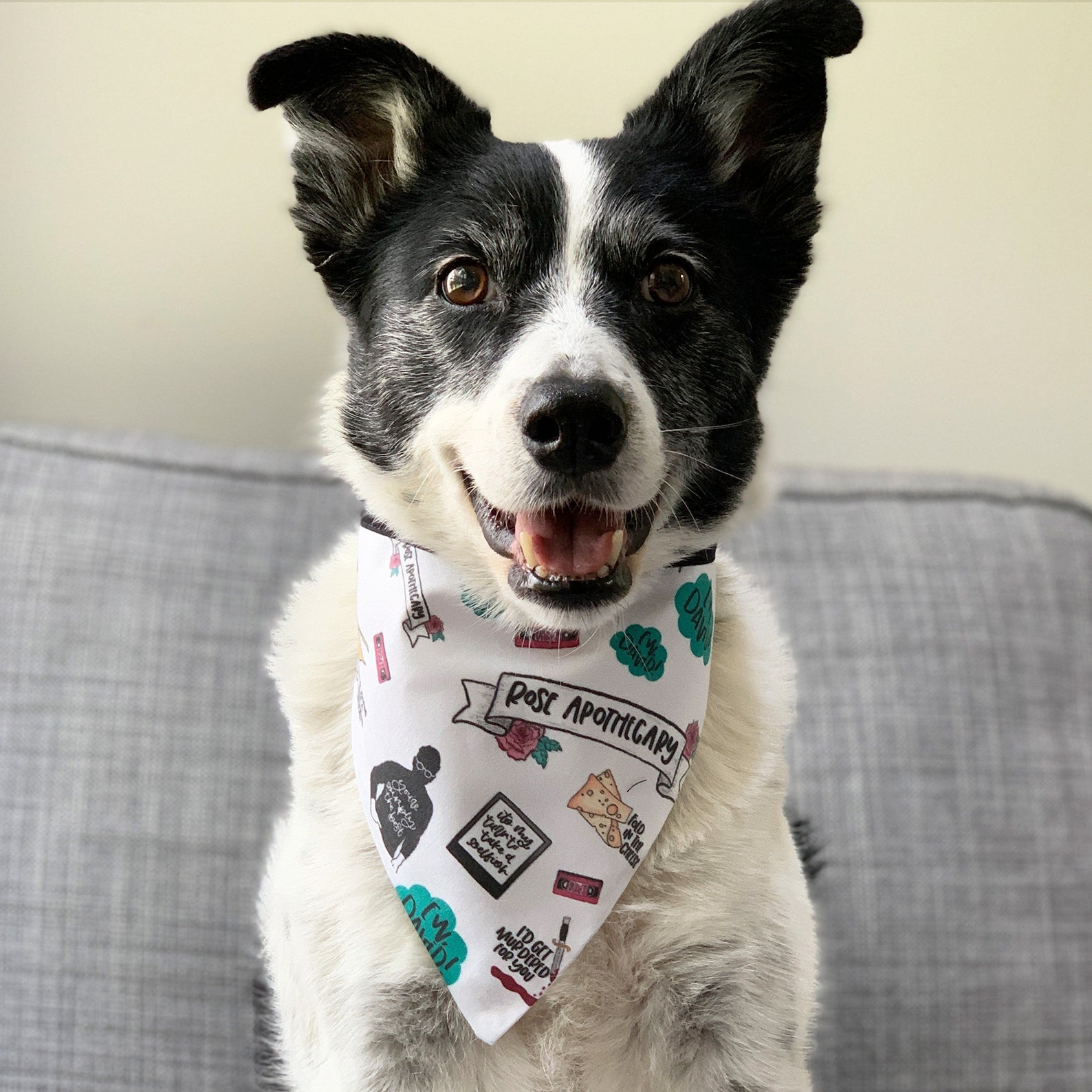 dog bandanas pets at home
