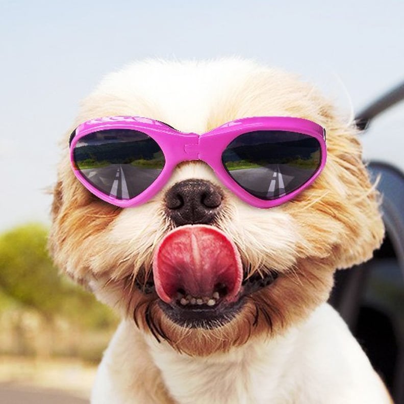 Doggie Sunglasses