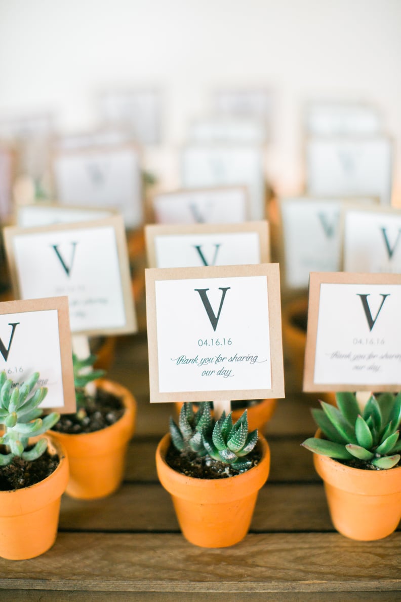 Personalized Succulents