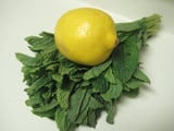 Lemon Mint Julep