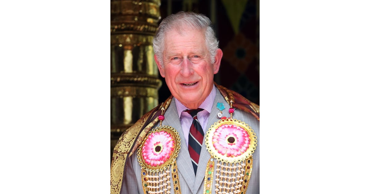 Charles, Prince of Wales | British Royal Family Member Details