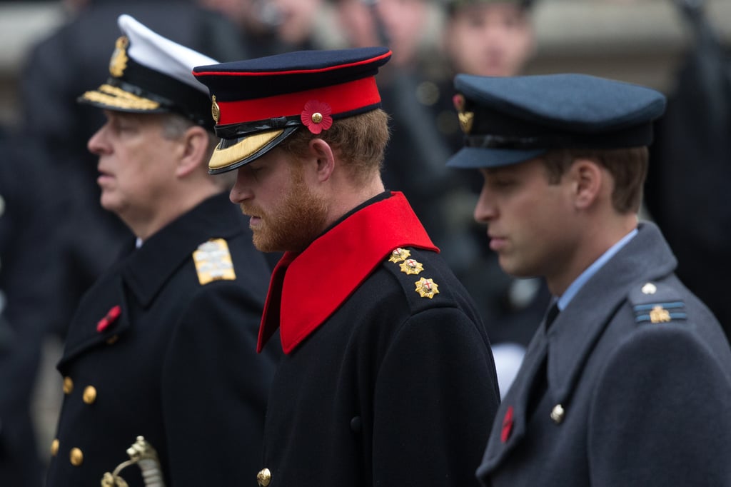 Prince Harry and Prince William on Remembrance Day 2015