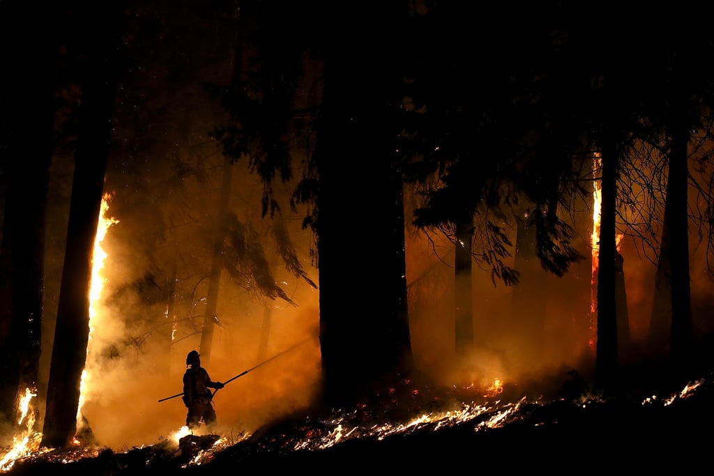 Sacramento Wildfire September 2014 | Pictures