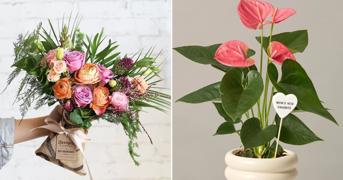 Best Flowers and Plants For Mother's Day Gifts POPSUGAR Home