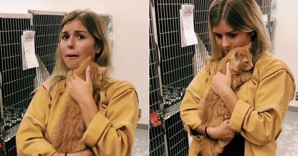 Video Of Shelter Cat Hugging His New Owner On Tiktok Popsugar Pets