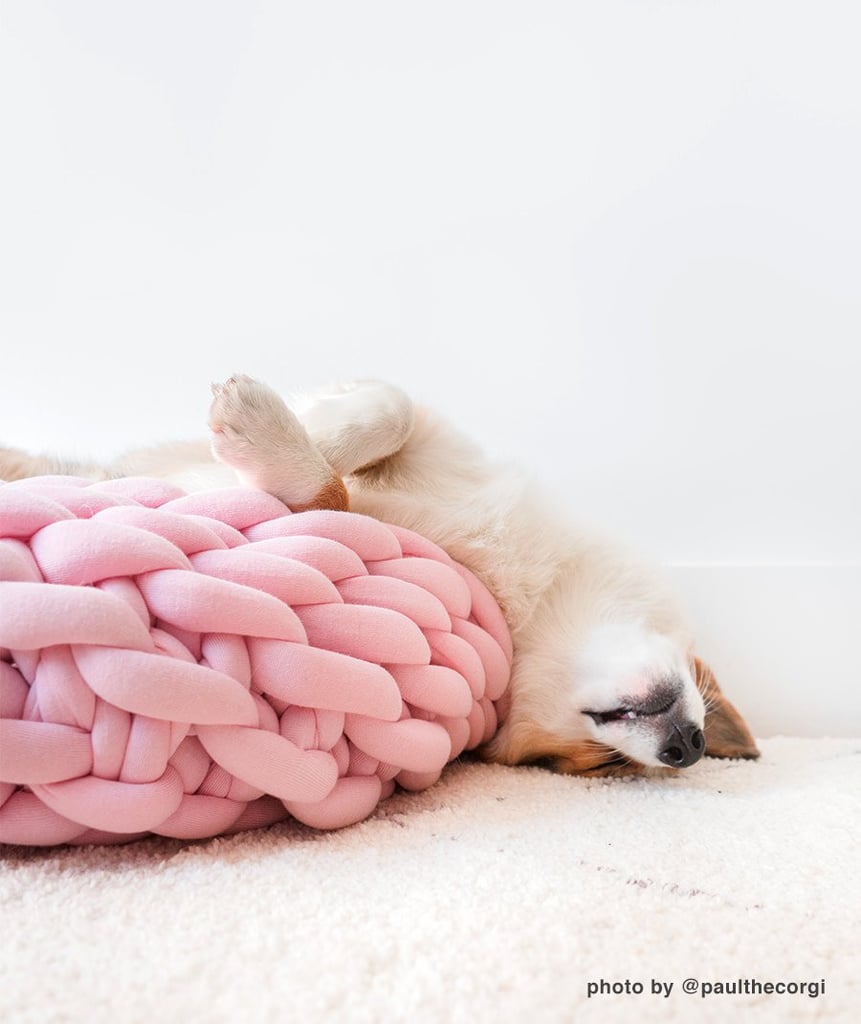 Ohhio Braid Dog Bed