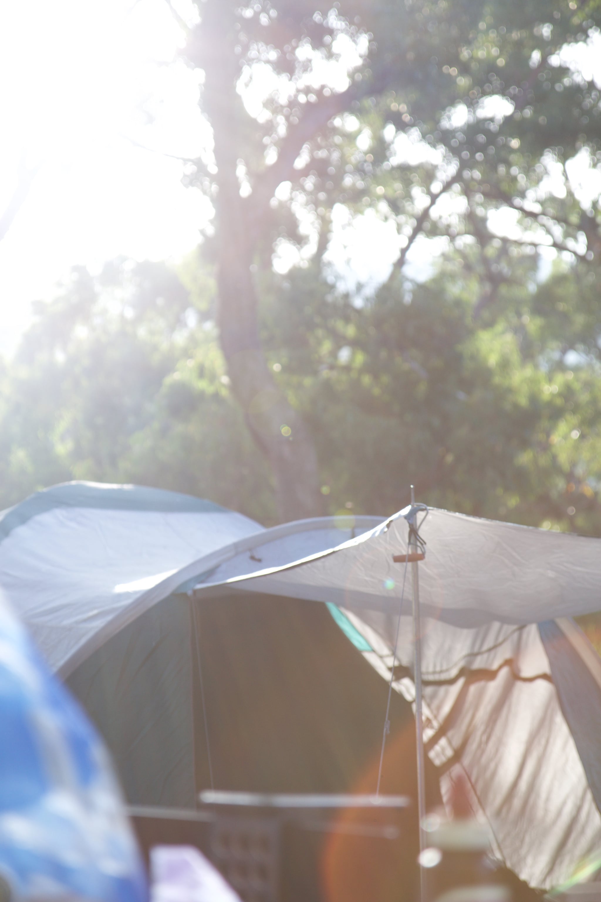 Camp In Your Backyard 100 Things To Do This Summer That Are
