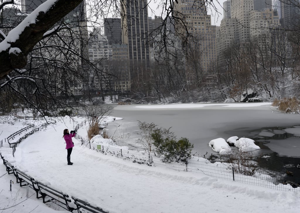 A woman walked through NYC's snow-covered Central Park the morning after the first major snowfall from the Winter storm.