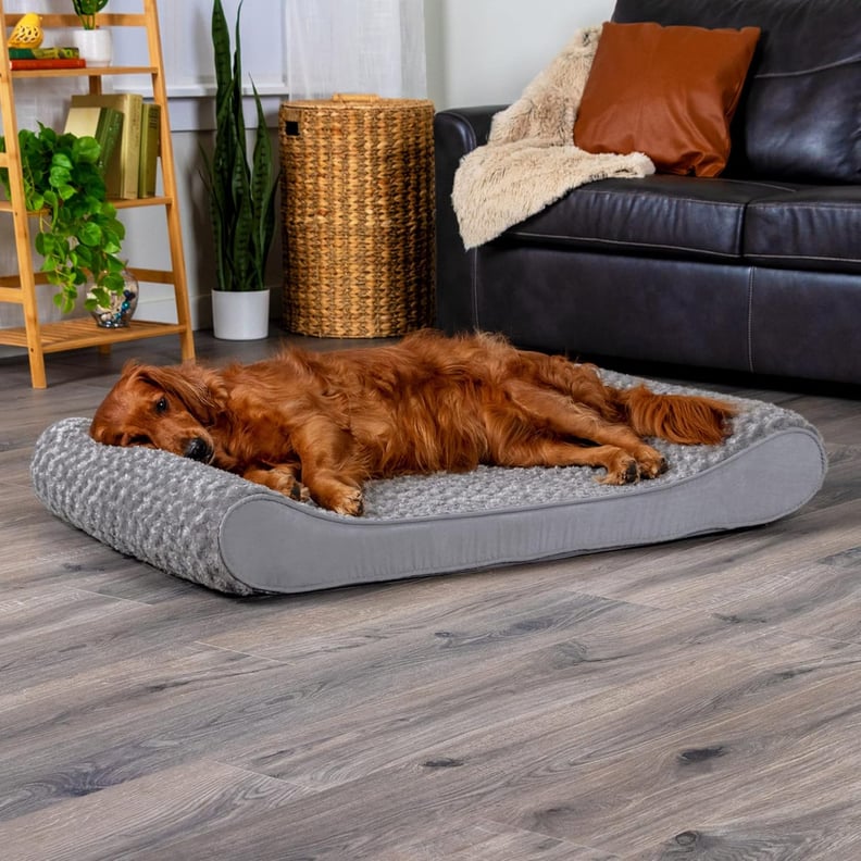 Best Orthopedic Dog Bed