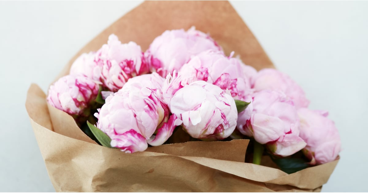 Facts About Peonies POPSUGAR Home Australia