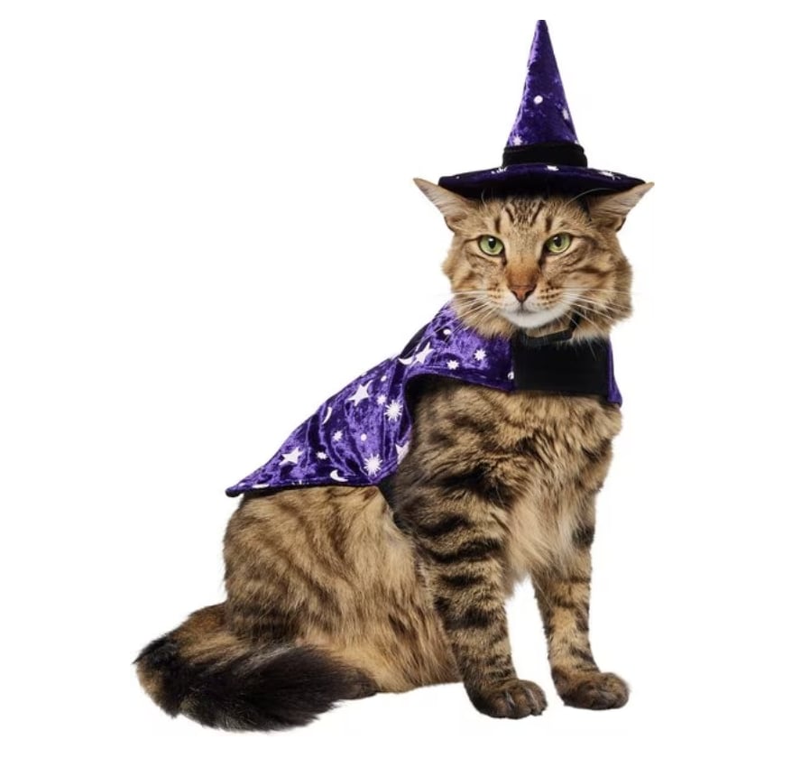 Best Pet Deal to Shop This Week