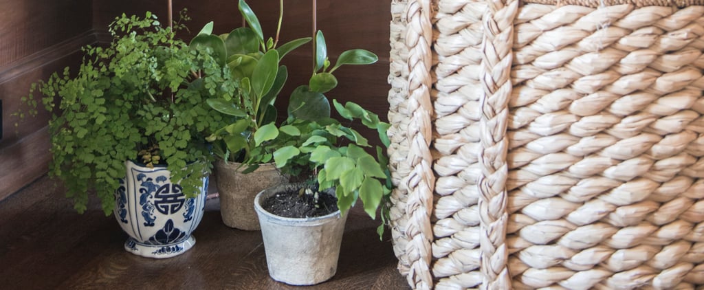 1 Thing You Should Always Buy at The Home Depot