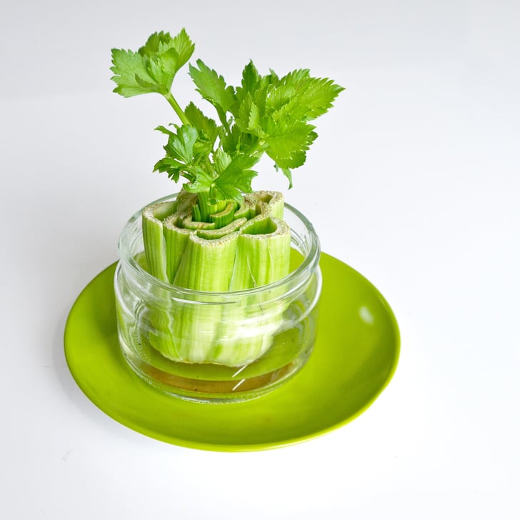 Celery Farm DIY Projects For the Weekend POPSUGAR Smart Living Photo 16