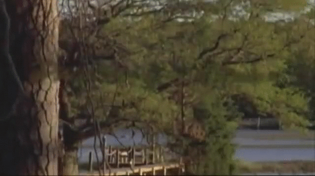 The Pier in Dawson's Creek