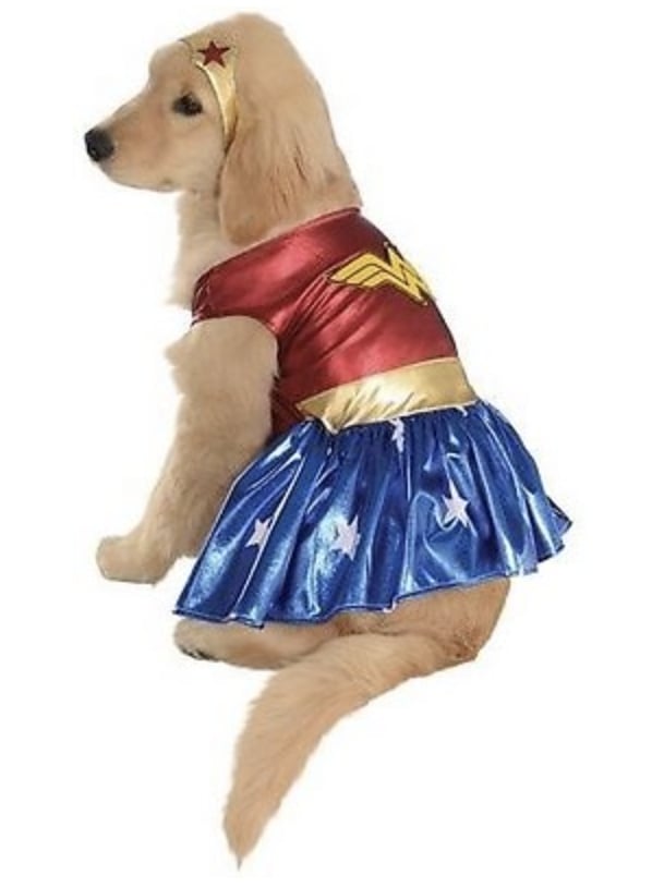 Wonder Woman 27 Dog Halloween Costumes That Are So Cute You Won