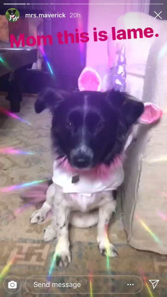 Nina Dobrev and Her Dog's Unicorn Costumes Halloween 2018