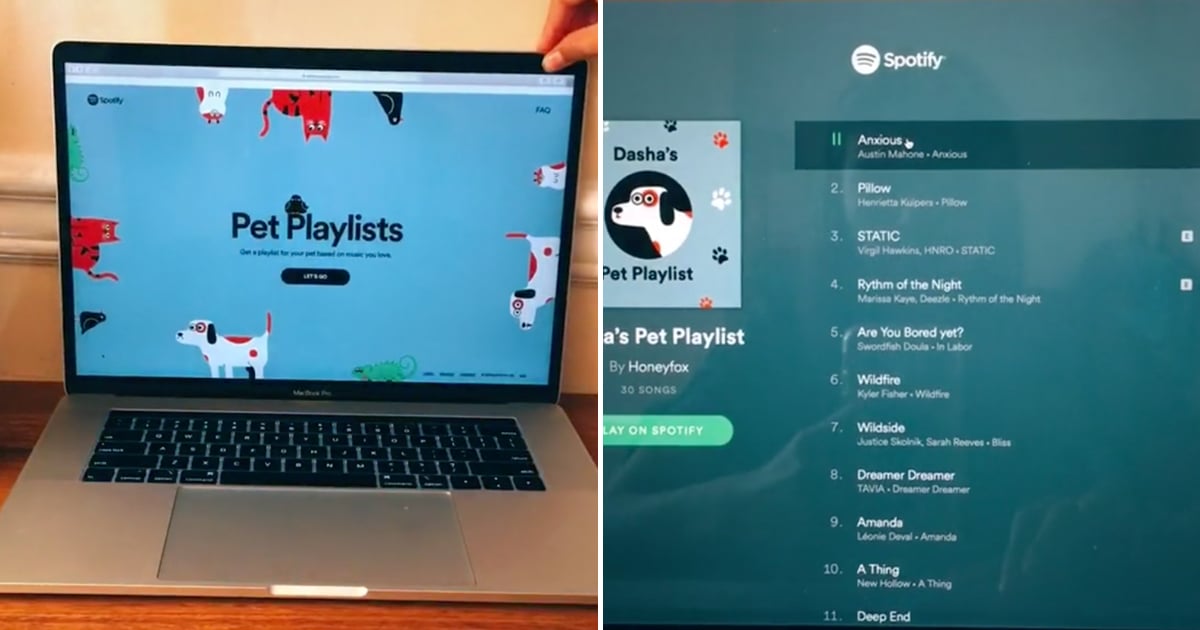 How to Make a Spotify Playlist For Your Pet POPSUGAR Pets