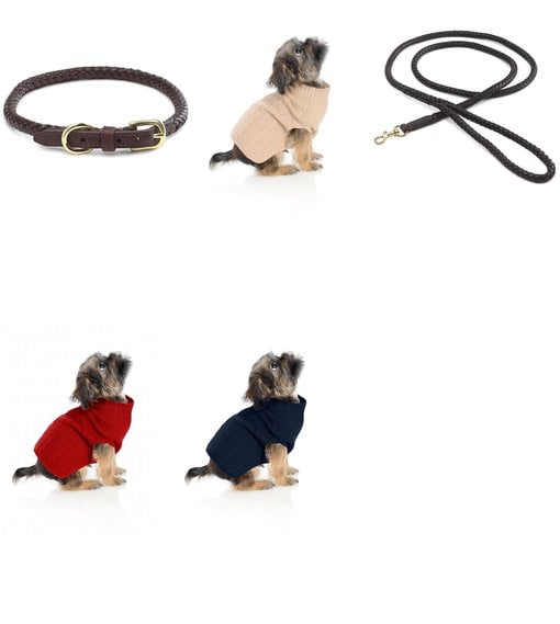 puppy stuff for sale