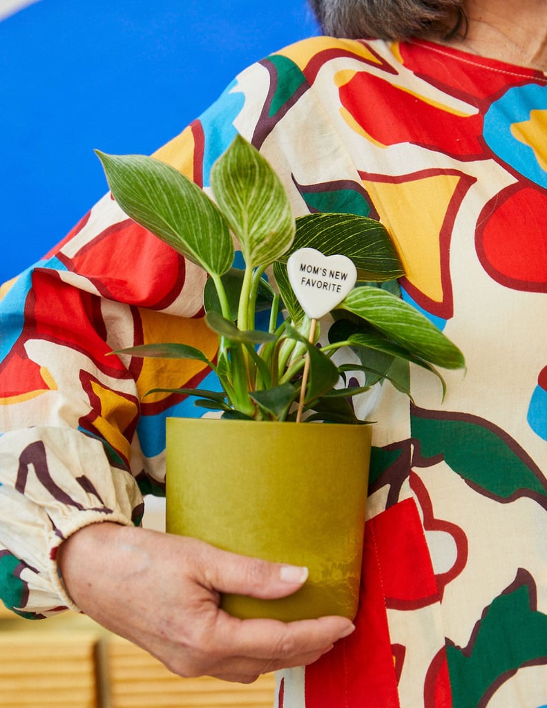 For the Mom Who Prefers Plant Shopping