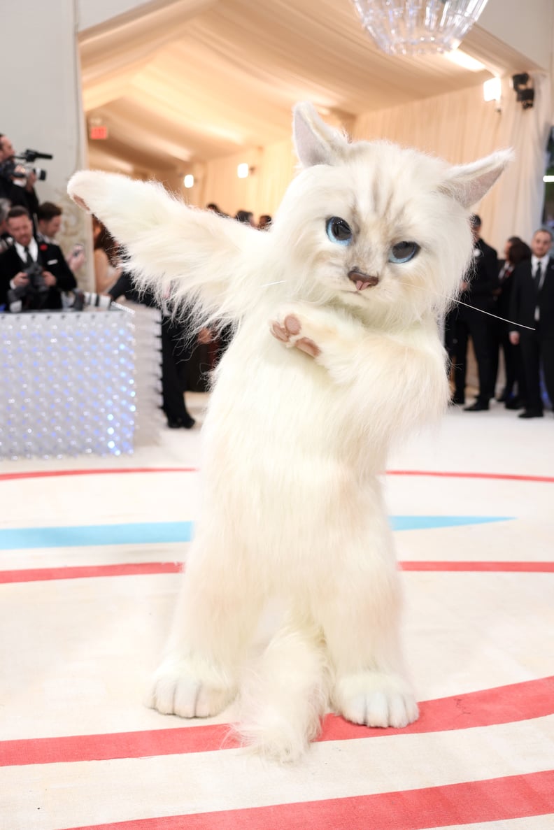 Jared Leto as Karl Lagerfeld's Cat Choupette at the 2023 Met Gala