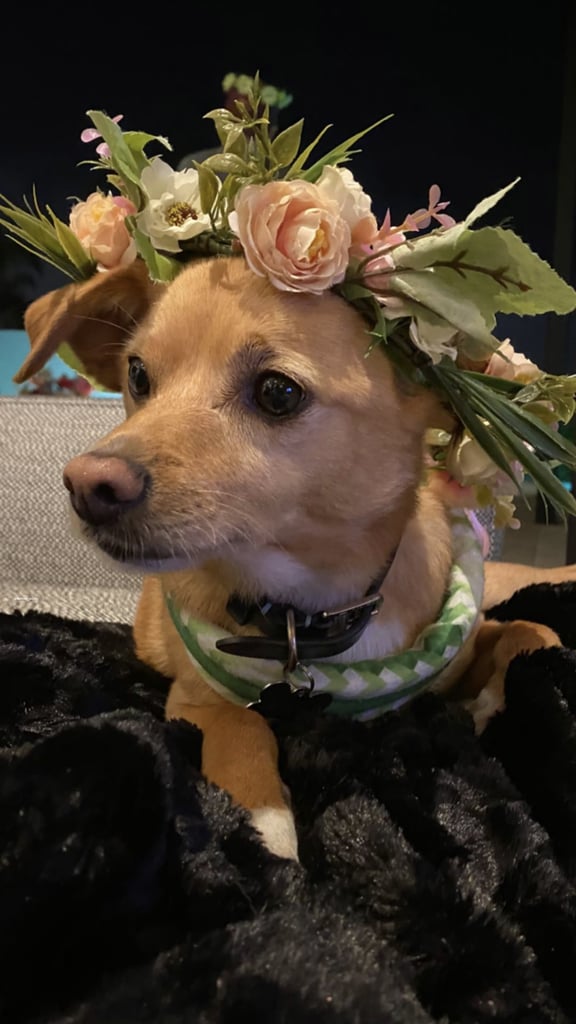 Ariana Grande Celebrates 27th Birthday With Midsommar Party