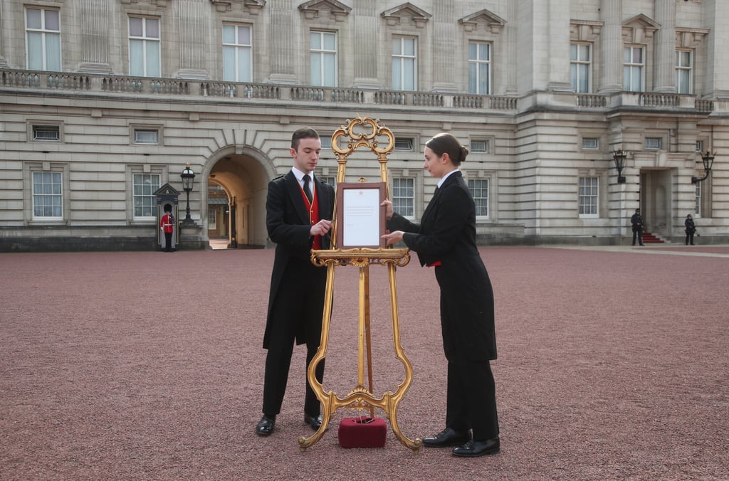 Prince Harry Announcing the Birth of His First Child Video