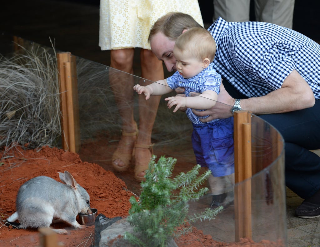 He took George to see a zoo exhibit in Sydney, Australia, in 2014.