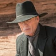 The Most Intriguing Westworld Theory Yet Has to Do With the Man in Black