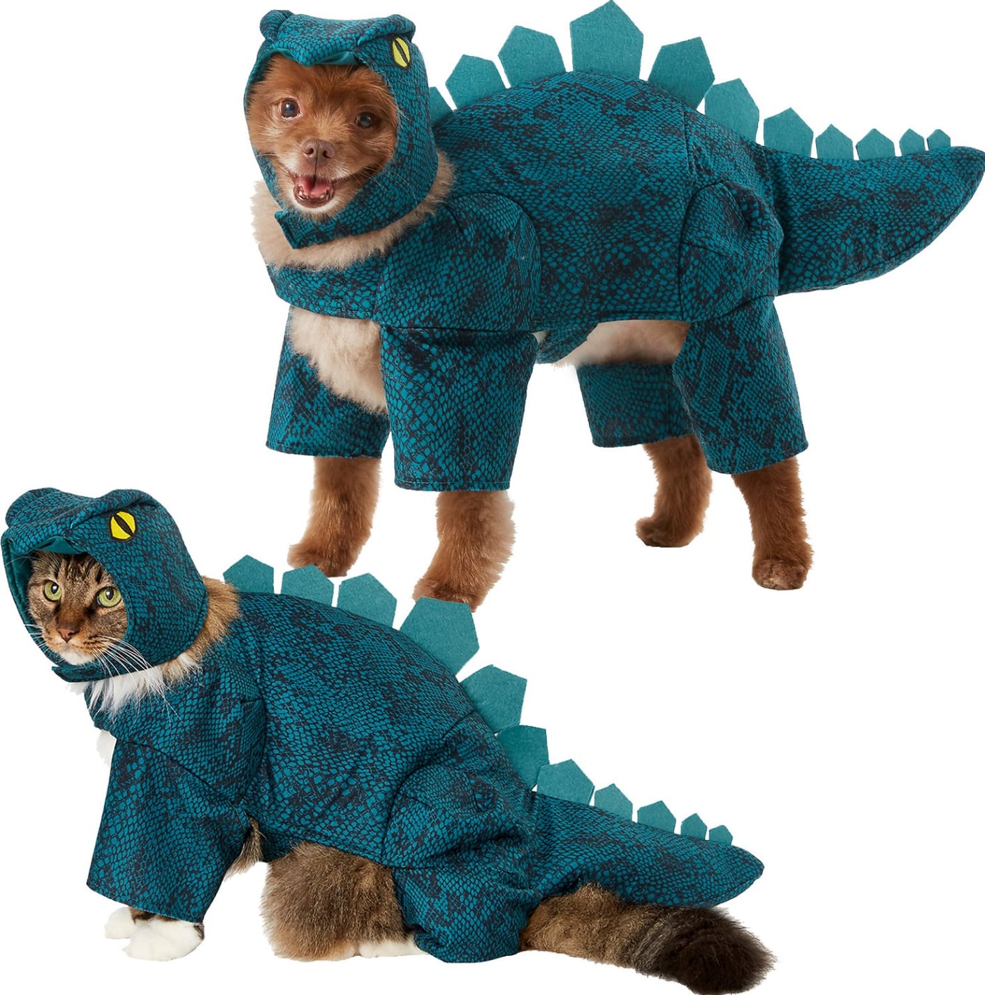 Stegosaurus cat costume hotsell