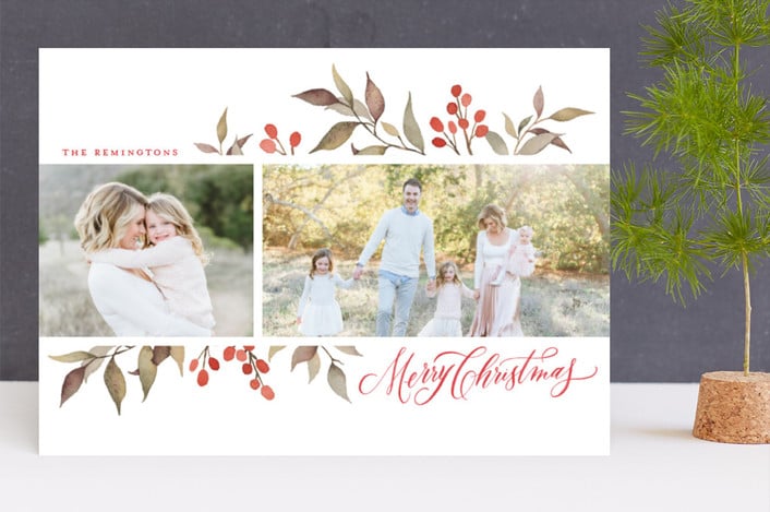 Olive + Berries Card from Minted ($1-$3 per card)