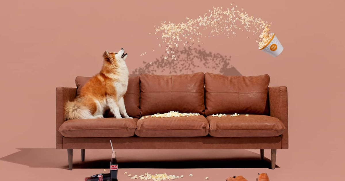 Temerity Gooey Bondgenoot Best Direct-to-Consumer Sofa and Couch Brands 2021 | POPSUGAR Home