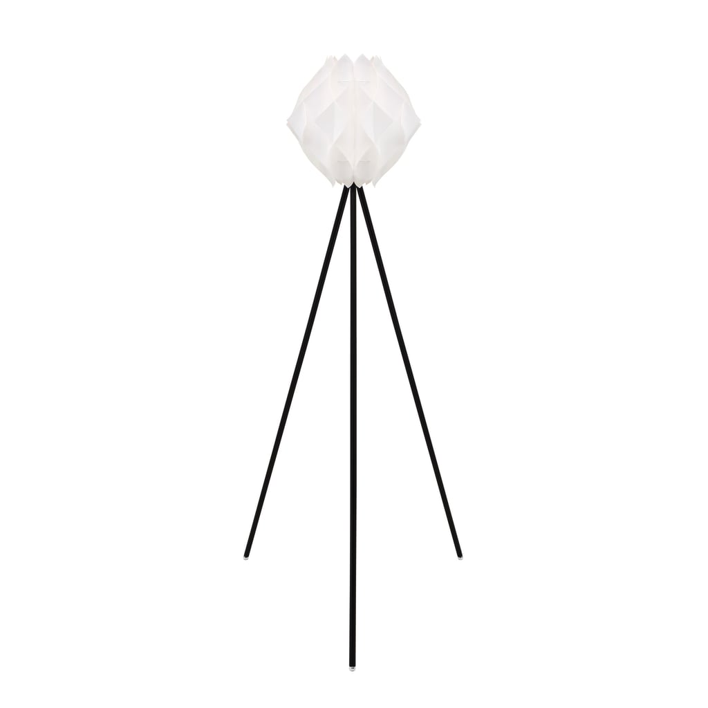Fotia Floor Lamp ($80)