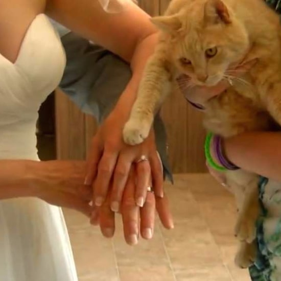 Couple Weds at The Cat House on the Kings