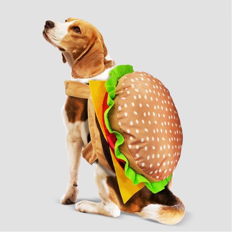 Hot dog on sale and hamburger costume