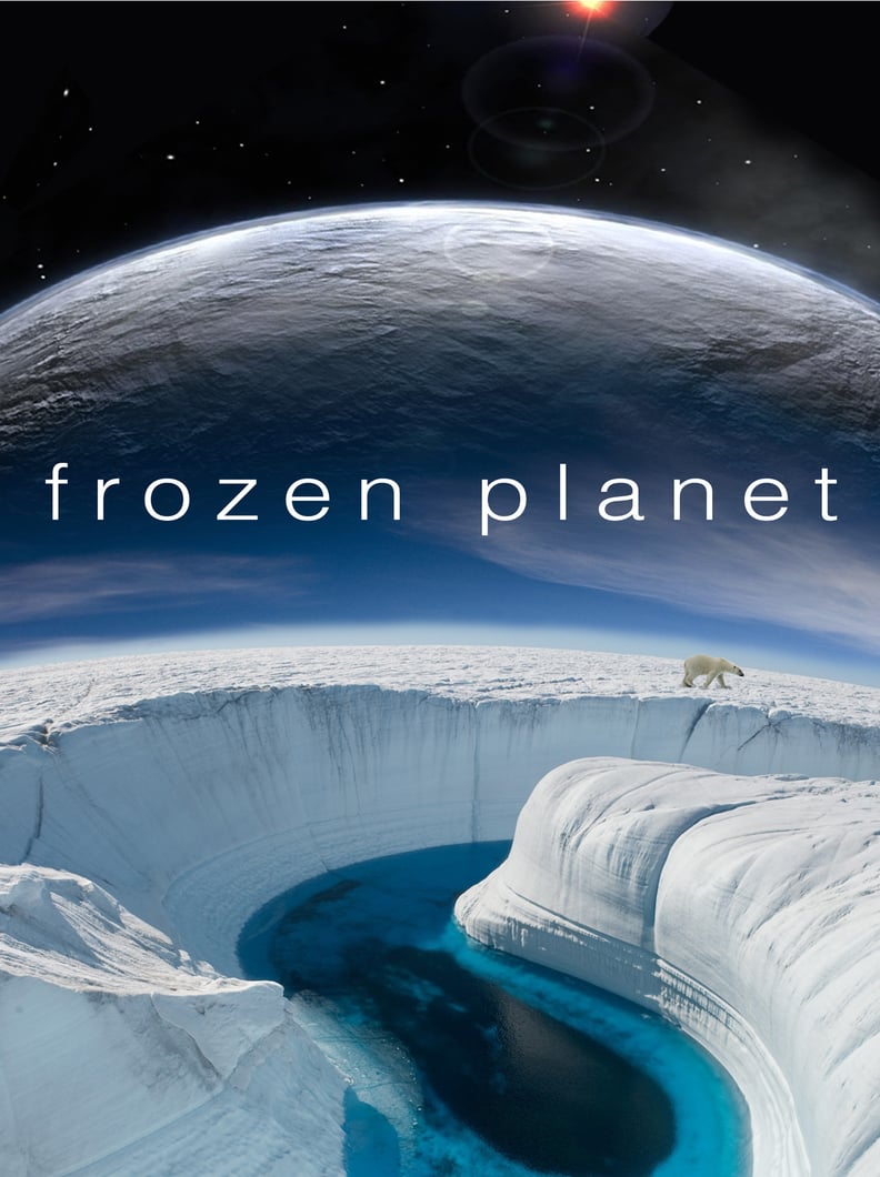 Frozen Planet: On Thin Ice