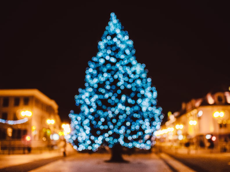 Attend a captivating tree-lighting ceremony.