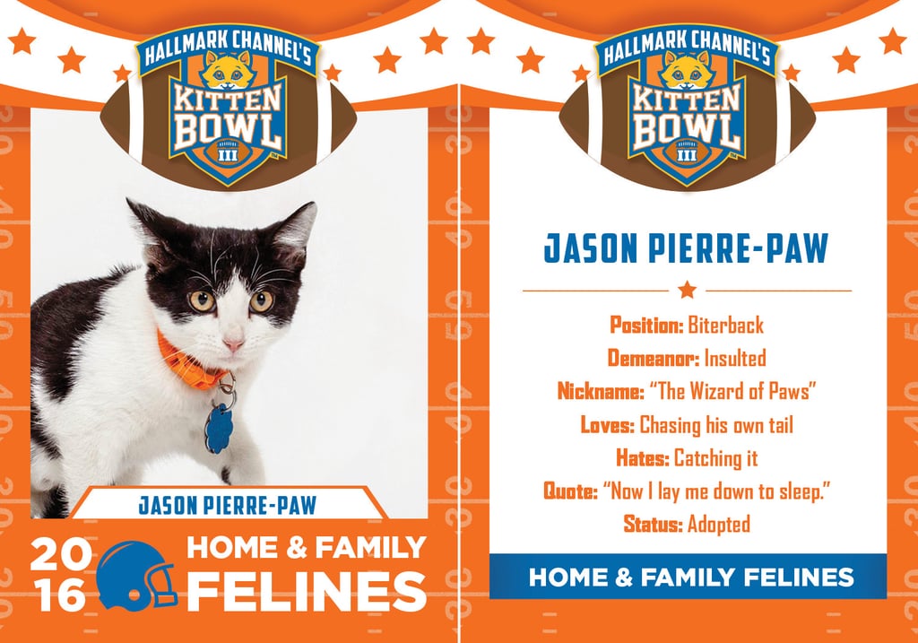 Kitten Bowl 2016