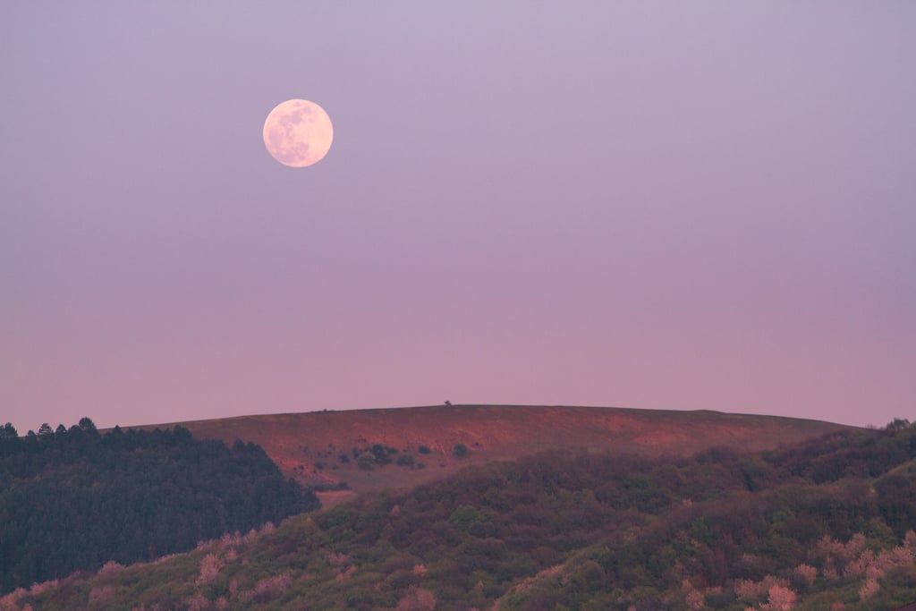 Harvest Moon