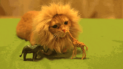 So ferocious.