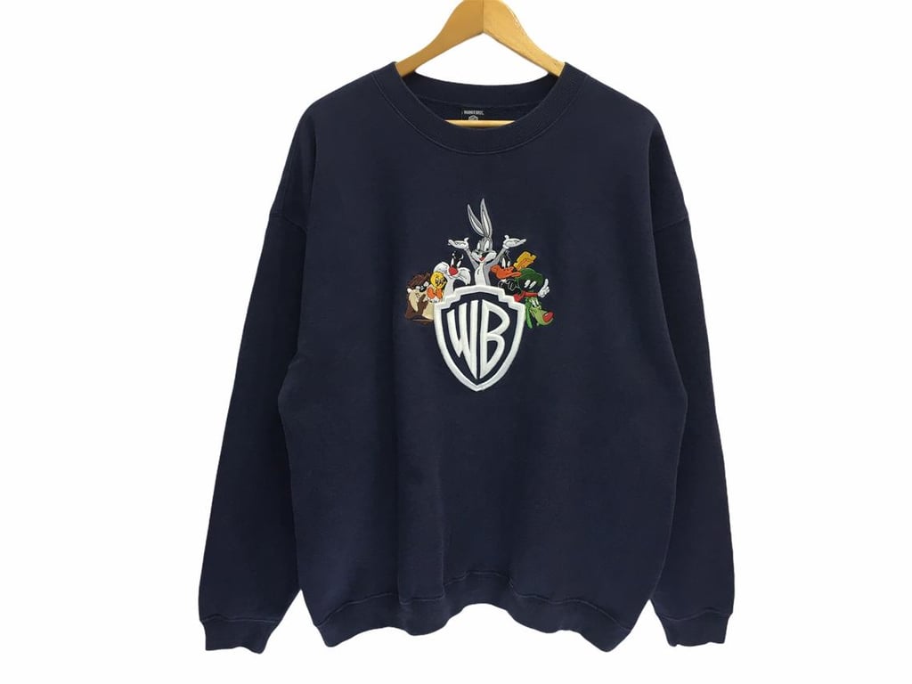 Warner Bros Cartoons Spellout Multicolor Embroidery Pullover