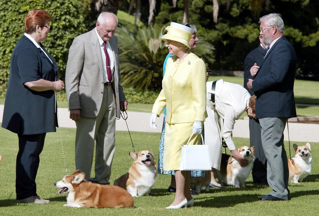 Why Did Queen Elizabeth Have So Many Corgis?