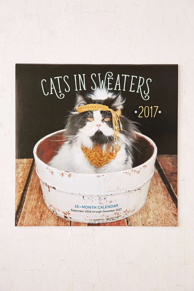 Cats in Sweaters 2017 Wall Calendar
