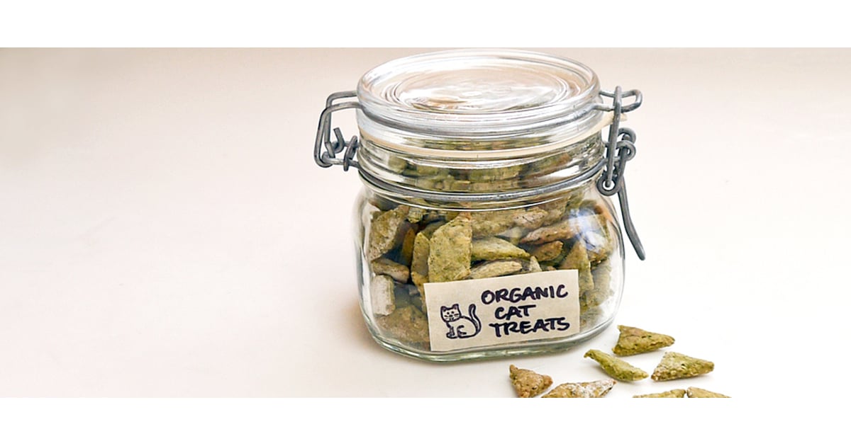 Organix cat treats 2025